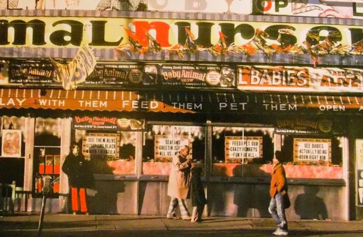 La lam khu Brooklyn, thanh pho New York thap nien 1970-Hinh-14